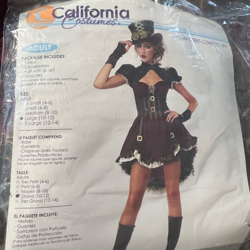 Steampunk Girl Costume